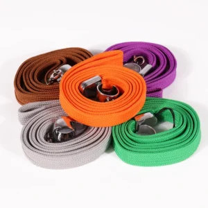 Brown, orange, purple, gray and green lanyards rolled into coils with silver-colored holder rings